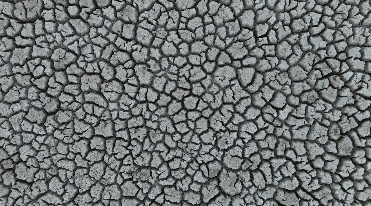 Eğirdir Gölü’ndeki kuraklık ezber bozdu! Çiftçi artık elma değil zeytin ekiyor