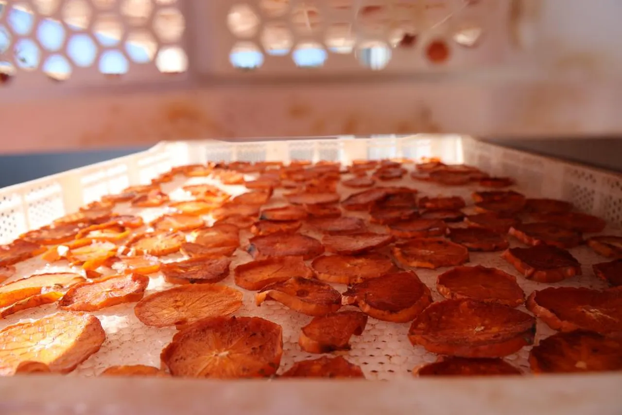 Cennet hurması kurusu