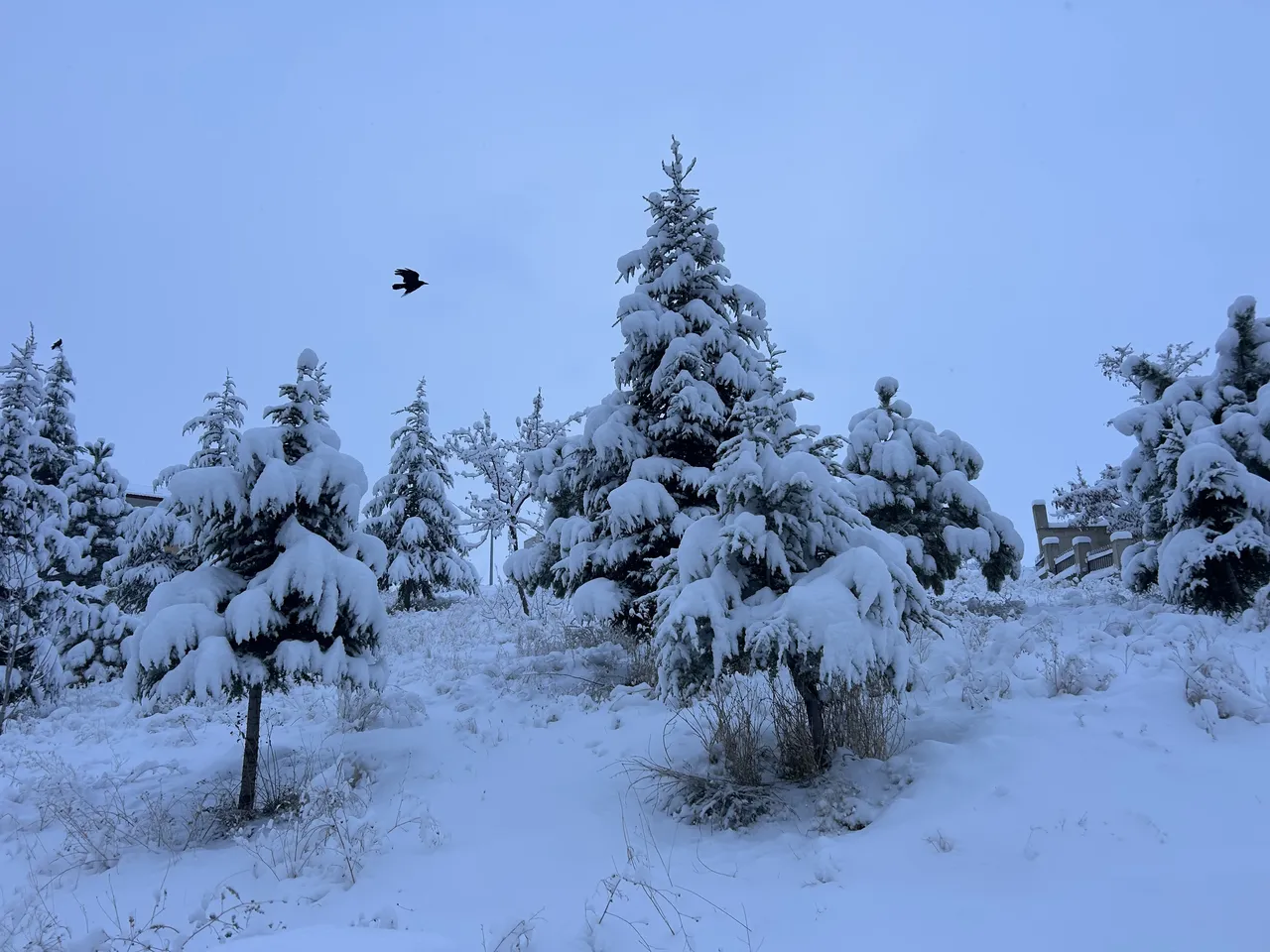 Sıcaklık eksi 5 dereceye düştü