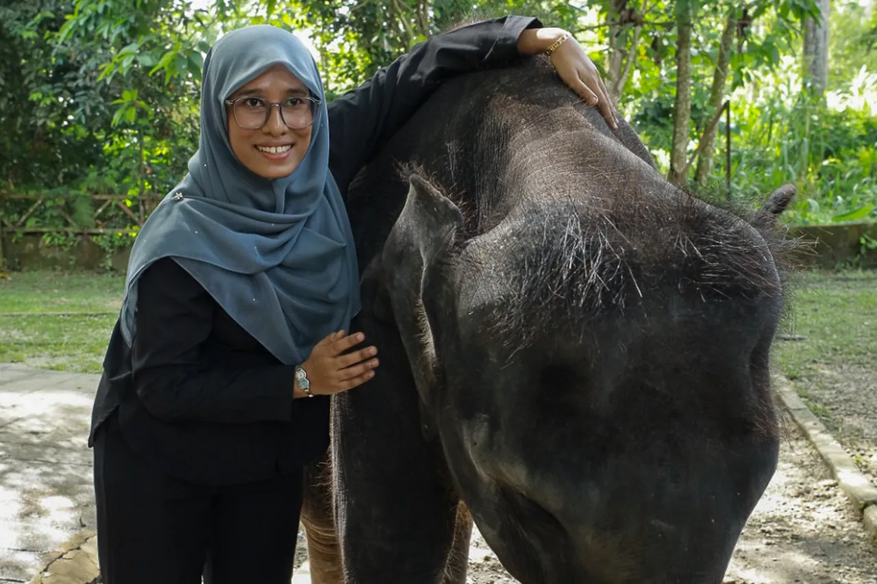 Tertemiz ülke! Bal dök yala: Malezya