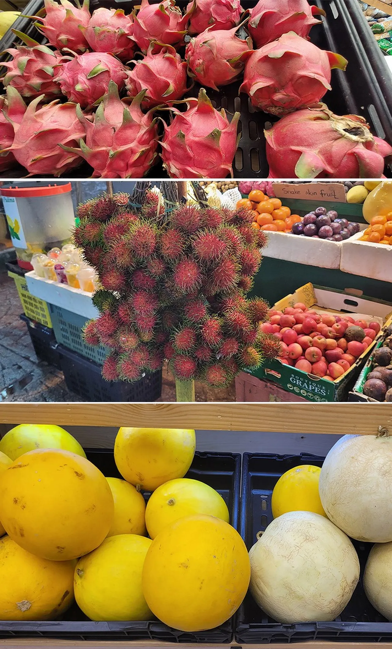 Tertemiz ülke! Bal dök yala: Malezya