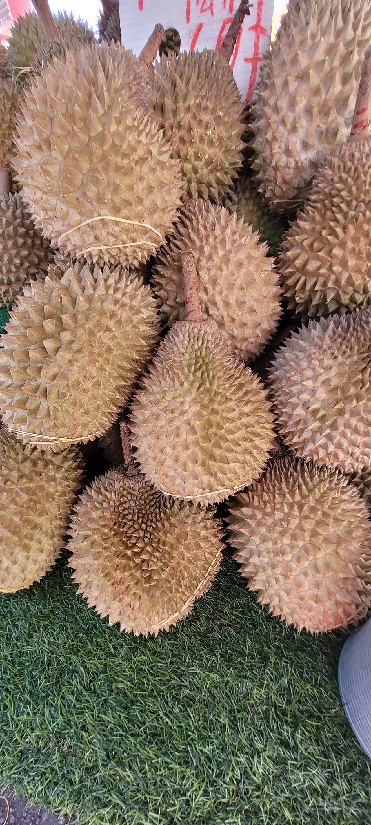 Tertemiz ülke! Bal dök yala: Malezya