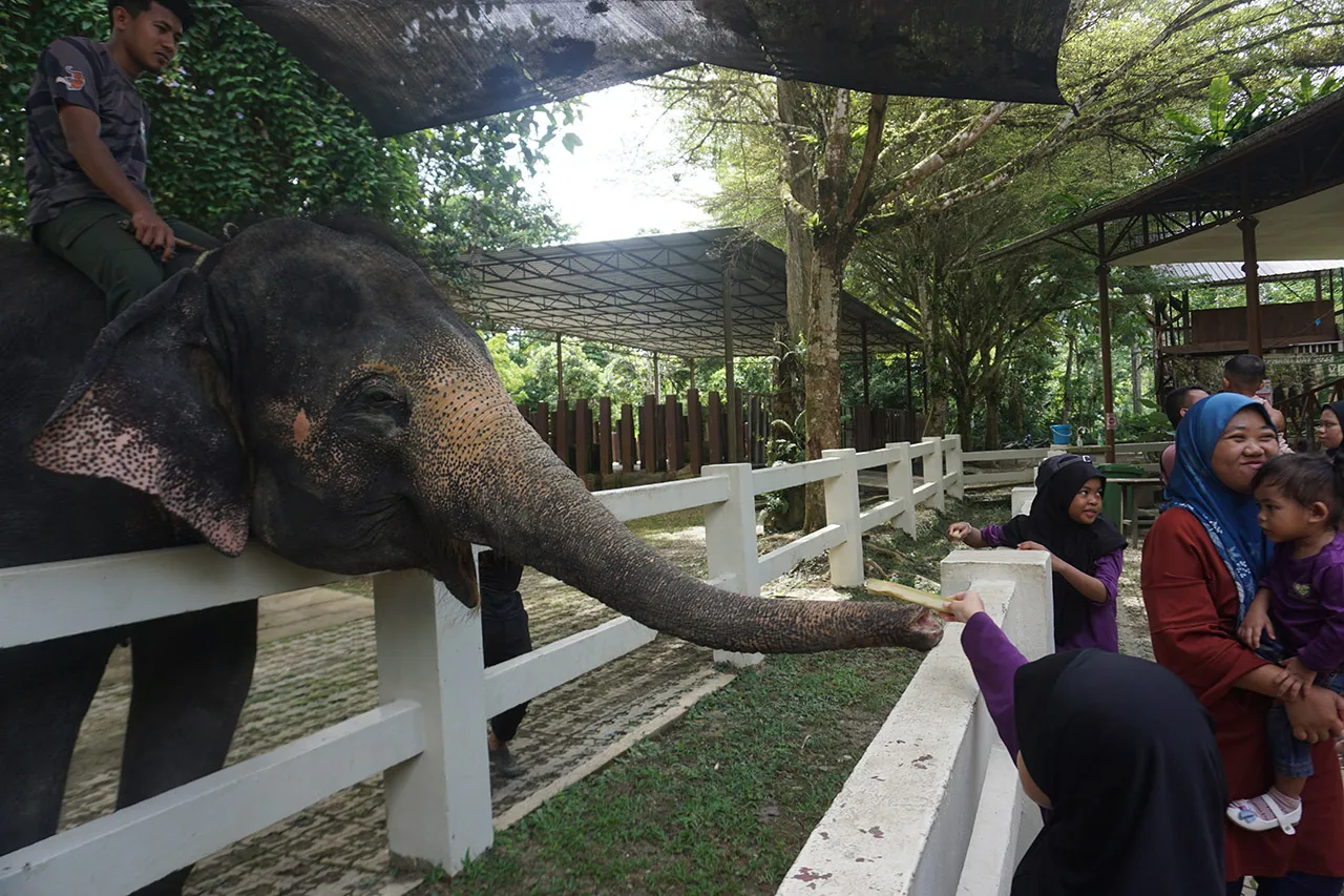 Tertemiz ülke! Bal dök yala: Malezya