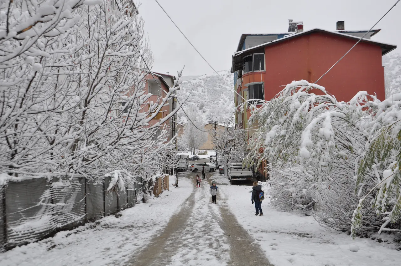 Bitlis'te eğitime kar engeli! Okullar tatil edildi