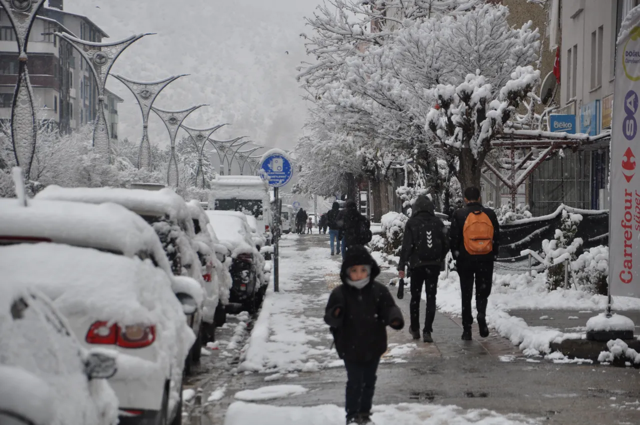Bitlis'te eğitime kar engeli! Okullar tatil edildi