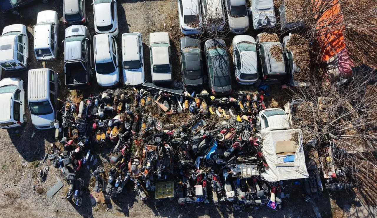 Elazığ'da yediemin otoparkında yüzlerce araç yosun tuttu: 500 milyon TL'lik servet çürüyor