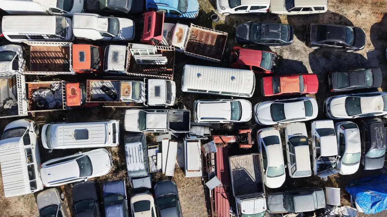 Elazığ'da yediemin otoparkında yüzlerce araç yosun tuttu: 500 milyon TL'lik servet çürüyor