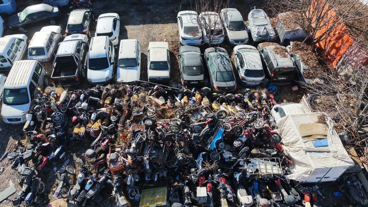Elazığ'da yediemin otoparkında yüzlerce araç yosun tuttu: 500 milyon TL'lik servet çürüyor