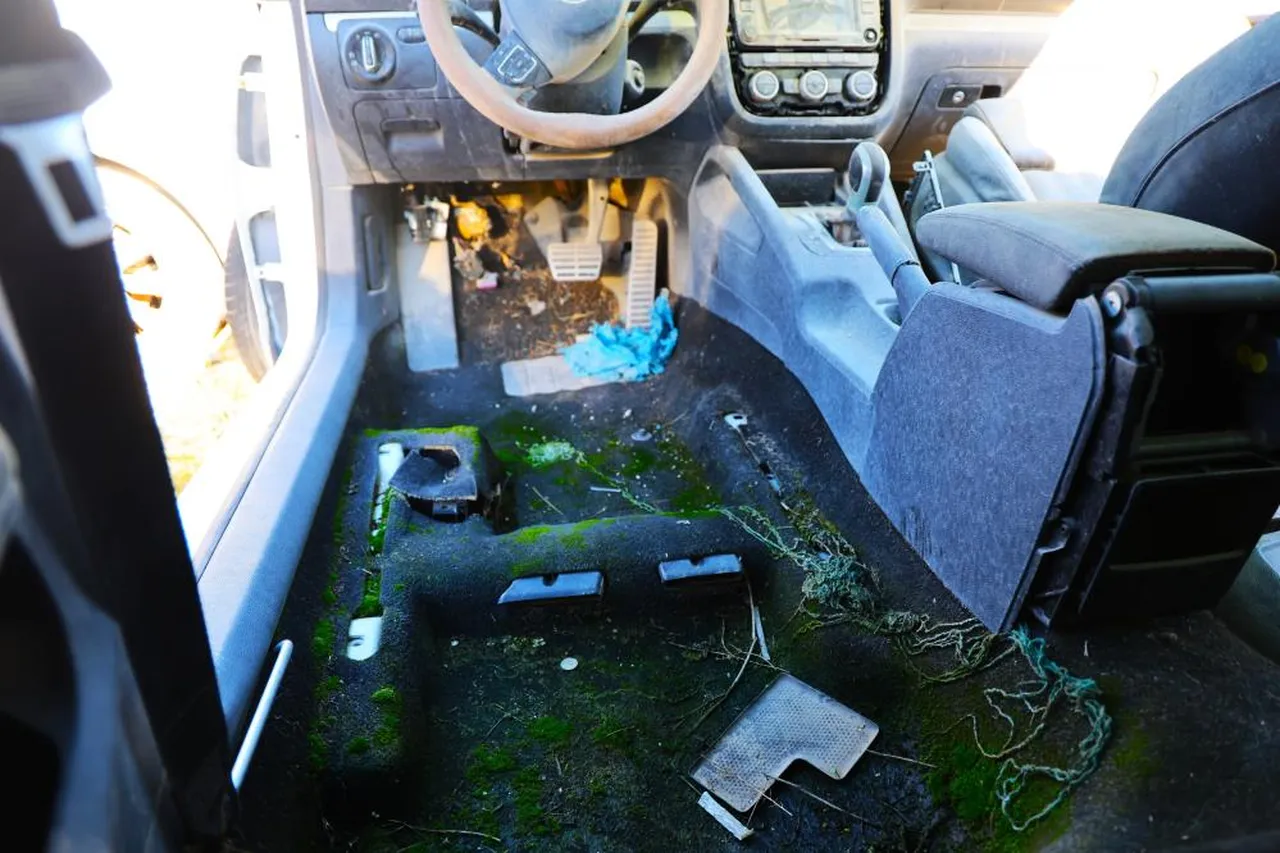 Elazığ'da yediemin otoparkında yüzlerce araç yosun tuttu: 500 milyon TL'lik servet çürüyor