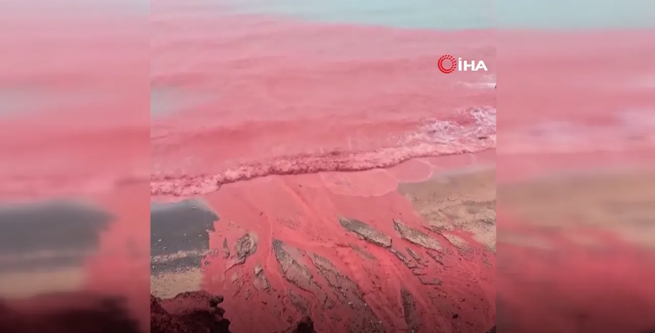 İran’ın doğal mirasında şaşırtan görüntü! Kızıl Sahil daha da ‘kızıla’ büründü