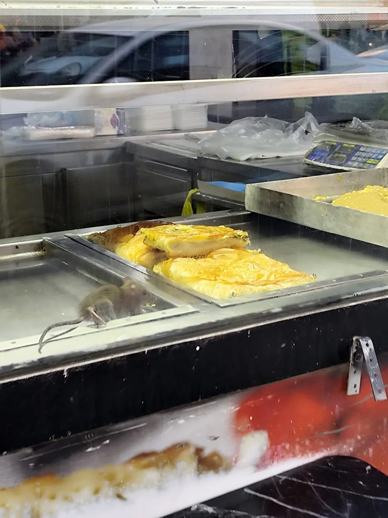 Görüntüler mide bulandırdı