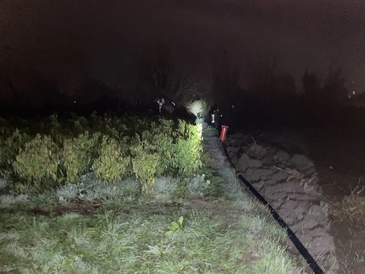 "Kim Milyoner Olmak İster"e katılan muhtar Sadık Savurtaş, varil içinde ölü bulundu