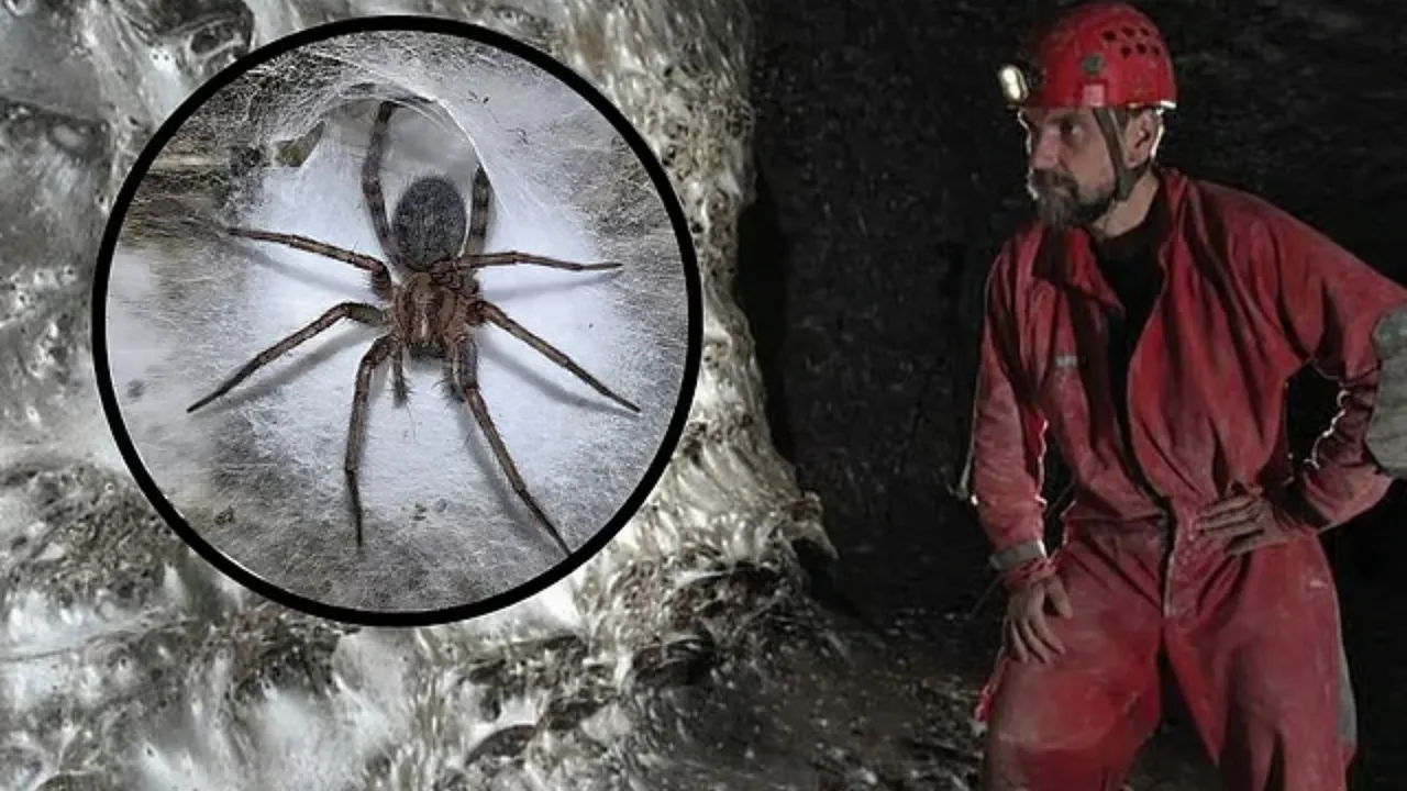 Sadece 160 metre! 2 ülkeyi ele geçirdi