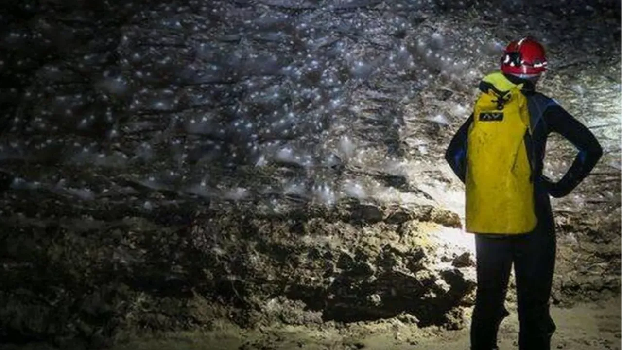 106 metrekarelik ağ iki ülkeyi ele geçirdi! 