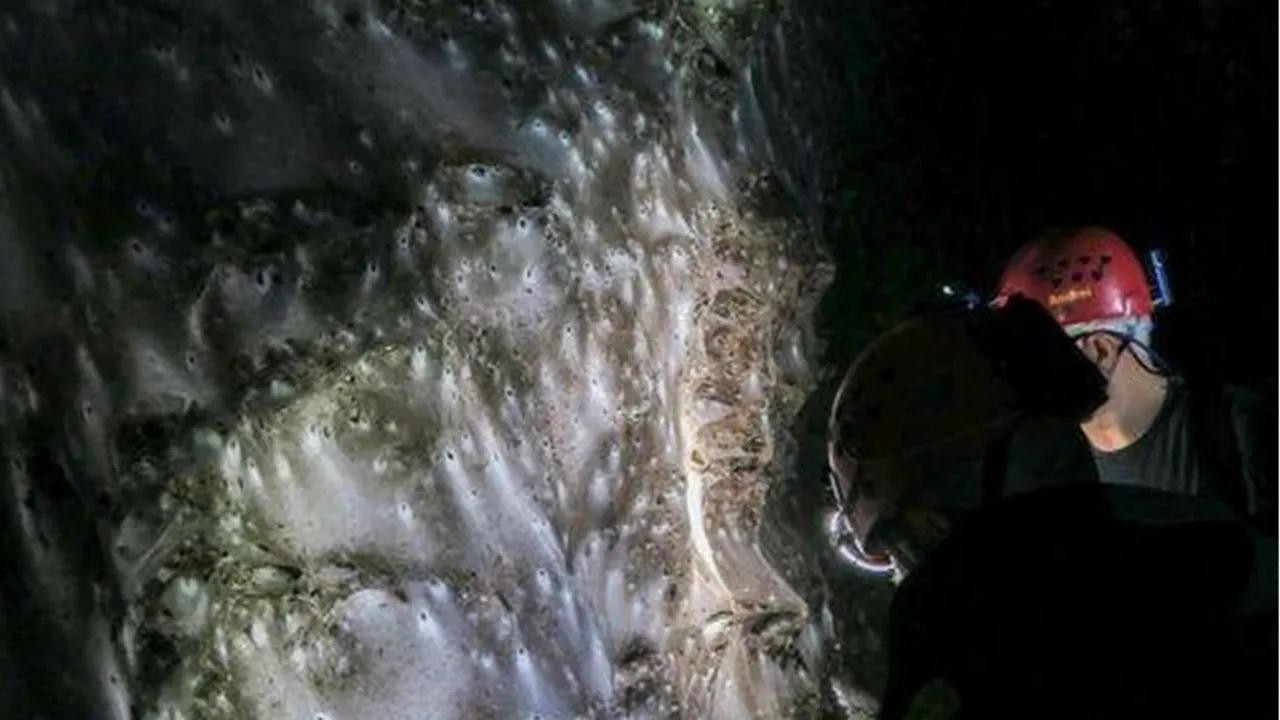 106 metrekarelik ağ iki ülkeyi ele geçirdi! 