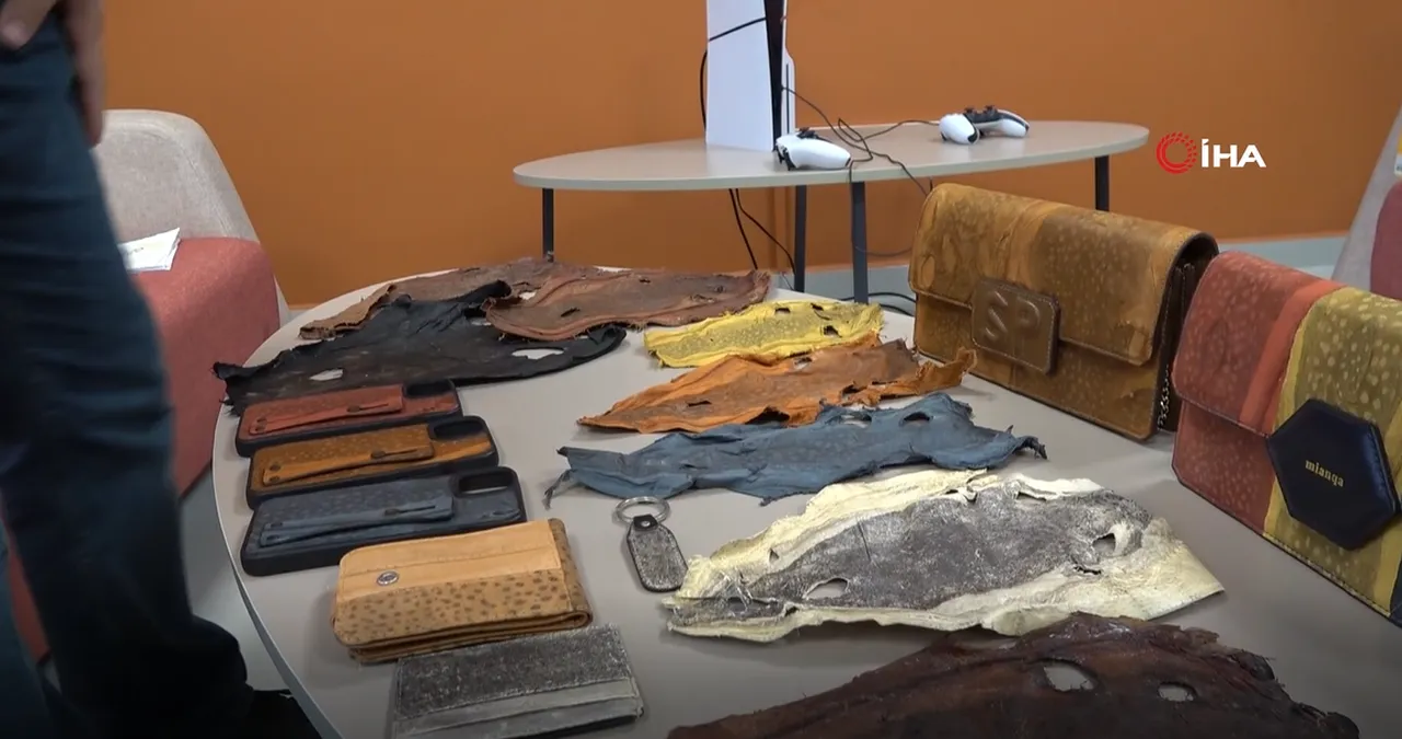 Siyanürden daha ölümcül! Balon balığından yaptığı aksesuarların projesi çalındı, soluğu mahkemede aldı