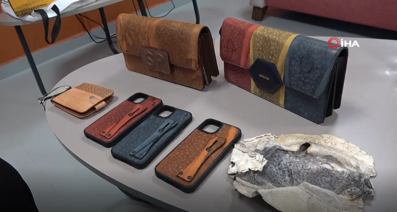 Siyanürden daha ölümcül! Balon balığından yaptığı aksesuarların projesi çalındı, soluğu mahkemede aldı