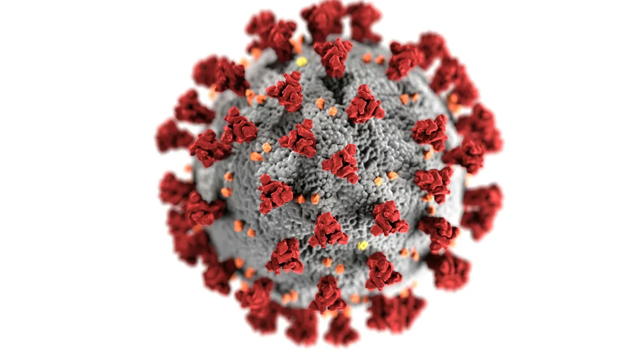 Türkiye'de de görülmüştü: H3N2 virüsü için DSÖ'den alarm: Önemli mutasyonlar taşıyor