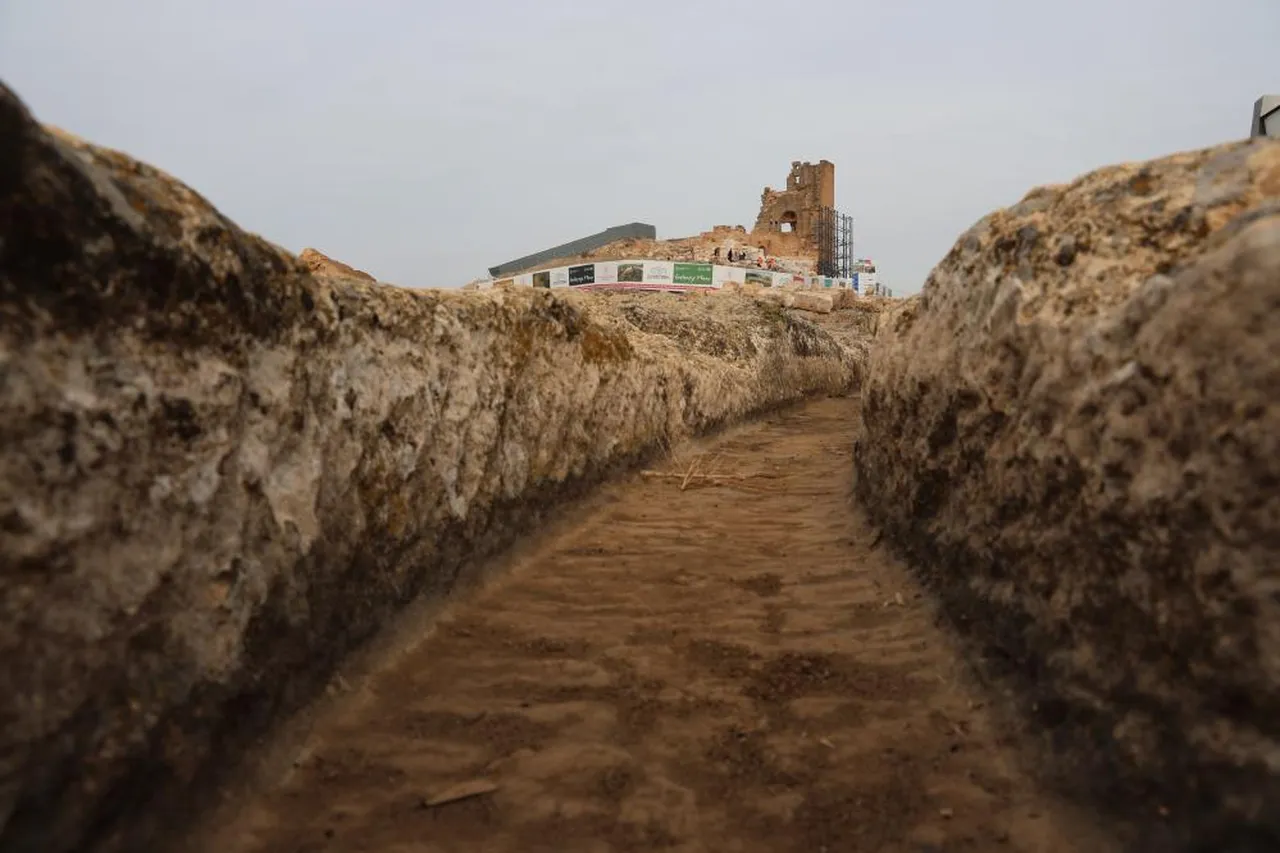Yüzbinlerce kişi Dİyarbakır'a akın etti! Zerzevan Kalesi geçmişe ışık tuttu, tapınağın altından çıkanlar...