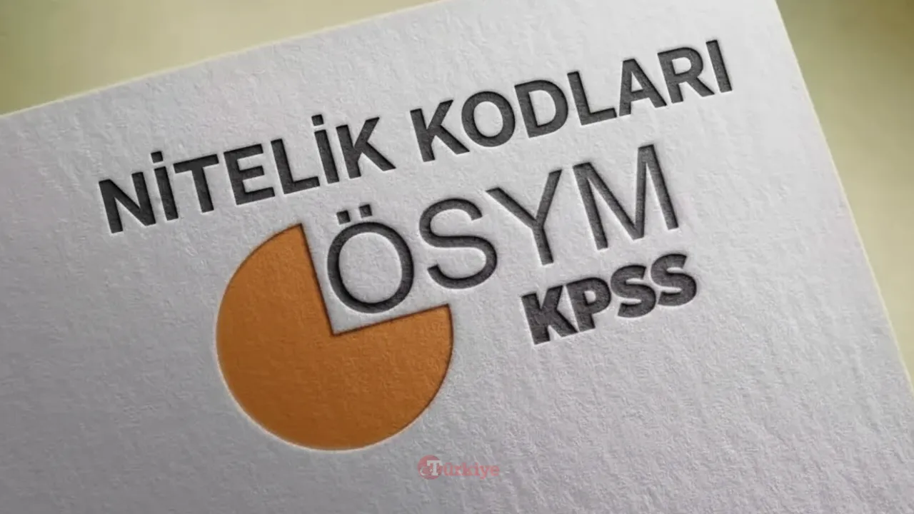 7348, 7322, 3384, 3004 ve 1101 nitelik kodu nedir? KPSS nitelik kodları ve anlamları