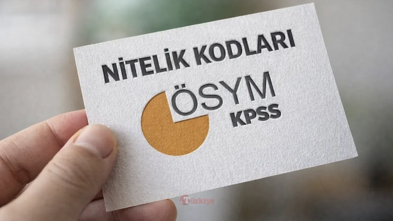 7348, 7322, 3384, 3004 ve 1101 nitelik kodu nedir? KPSS nitelik kodları ve anlamları