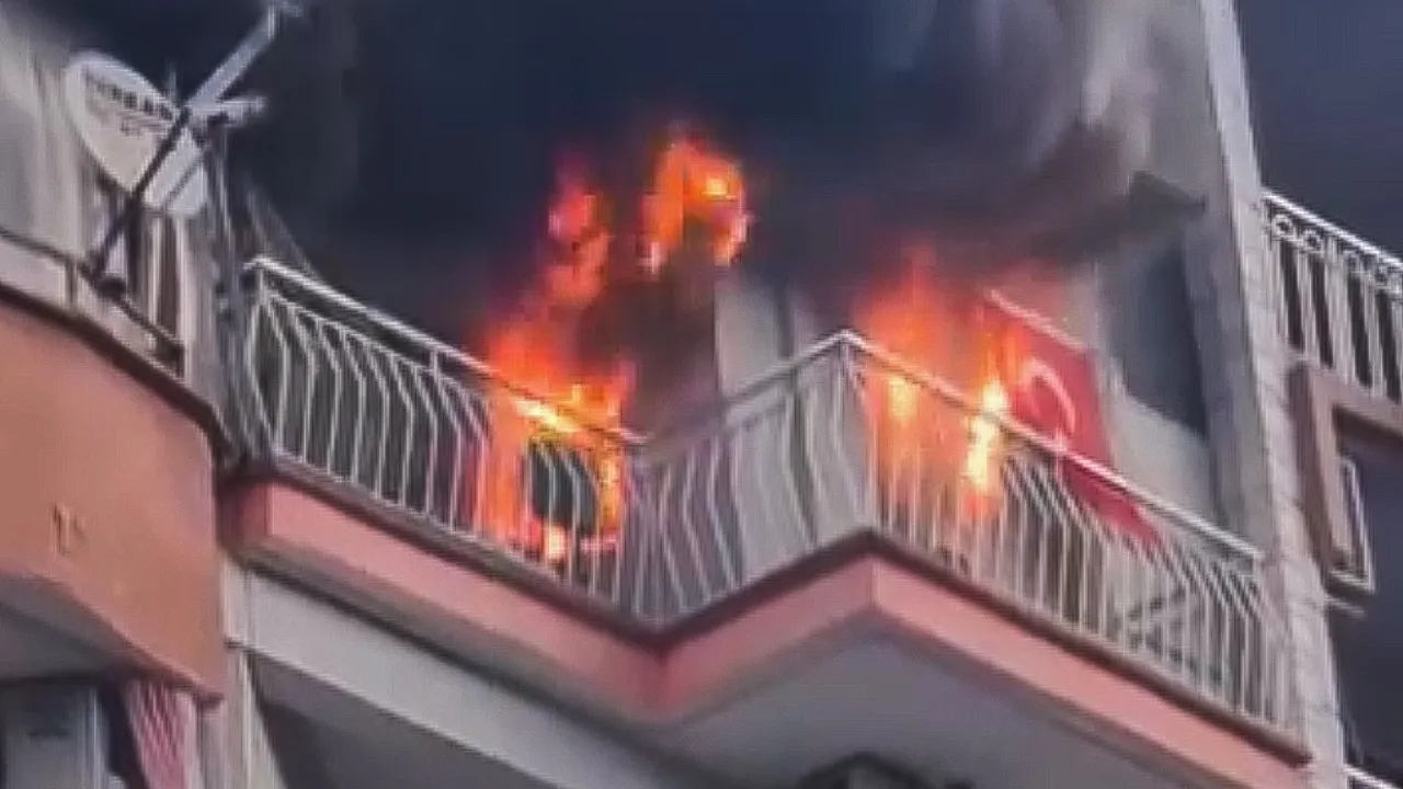 Alevlerin arasından çıkamadılar! Yangında 6 kedi telef oldu