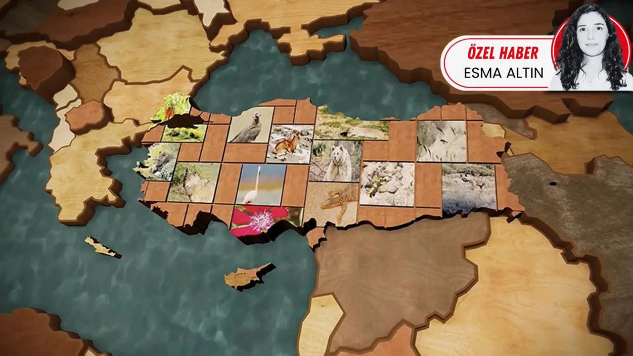 Biyokaçakçılıkla etkin mücadele yürütülüyor 