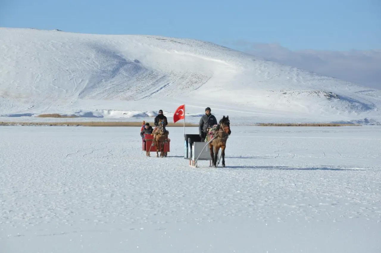 Çıldır Gölü’nde atlı kızak keyfi