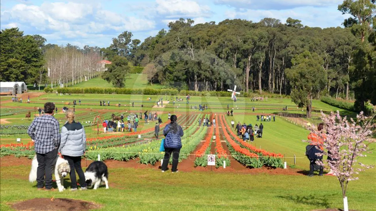 تركيا اليوم الكشف عن أغلى مدن العالم.. وهذا ترتيب إسطنبول تم الكشف عن أغلى مدن العالم! ويُعدّ وجود إسطنبول في القائمة جديرًا بالملاحظة بشكل خاص.
