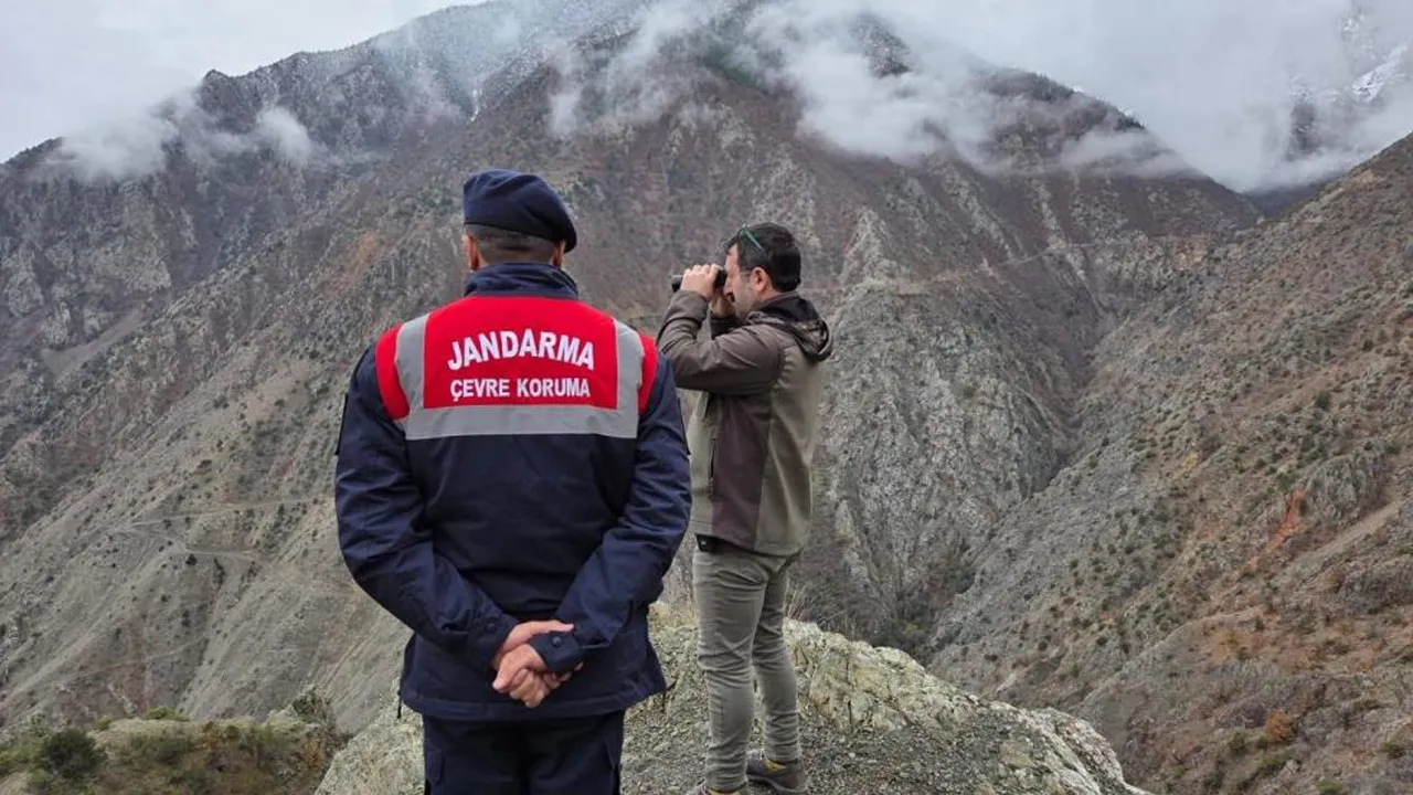 Jandarma kaçak avcılığa karşı denetime çıktı! Dağlar kontrol edildi