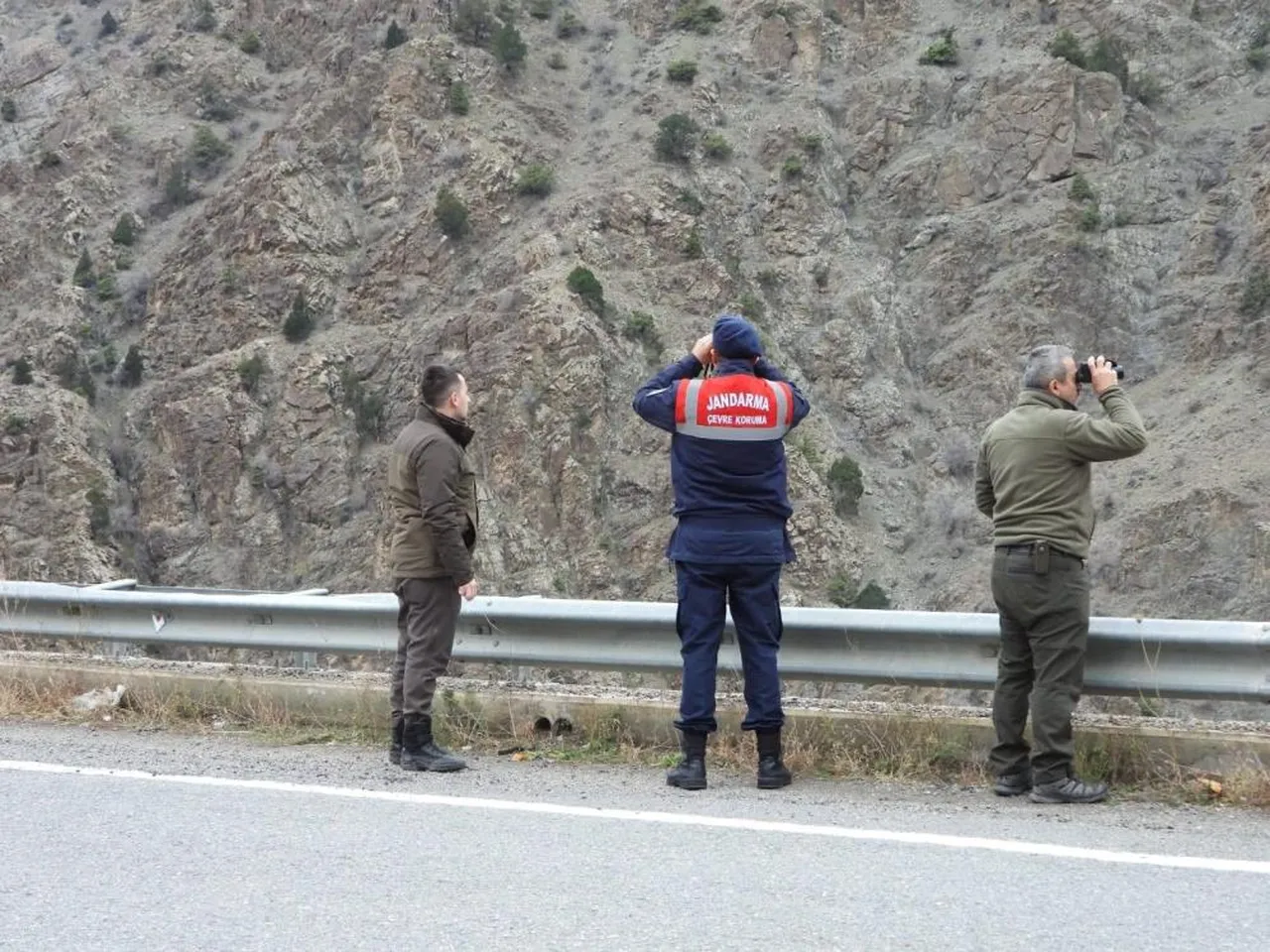 Jandarma kaçak avcılığa karşı denetime çıktı! Dağlar kontrol edildi