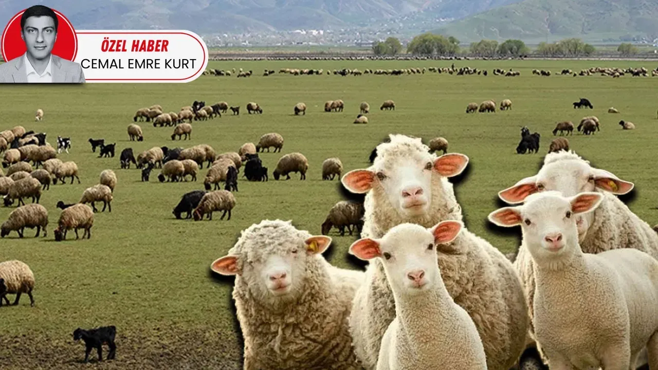 KADIN VE GENÇLERE DAĞITILACAK