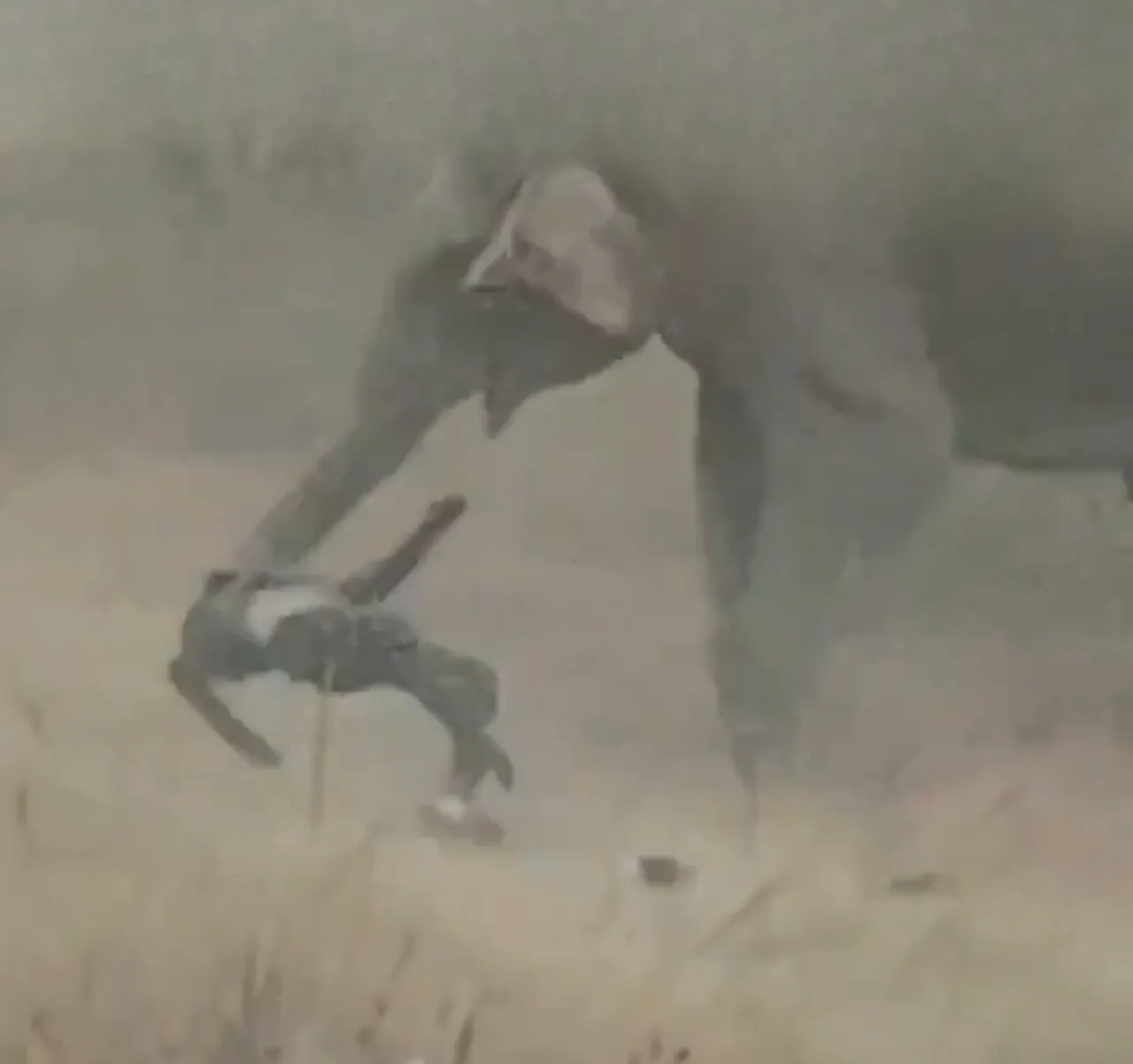 Köye saldıran fil sürüsü dehşet saçtı: 4 kişi feci şekilde can verdi