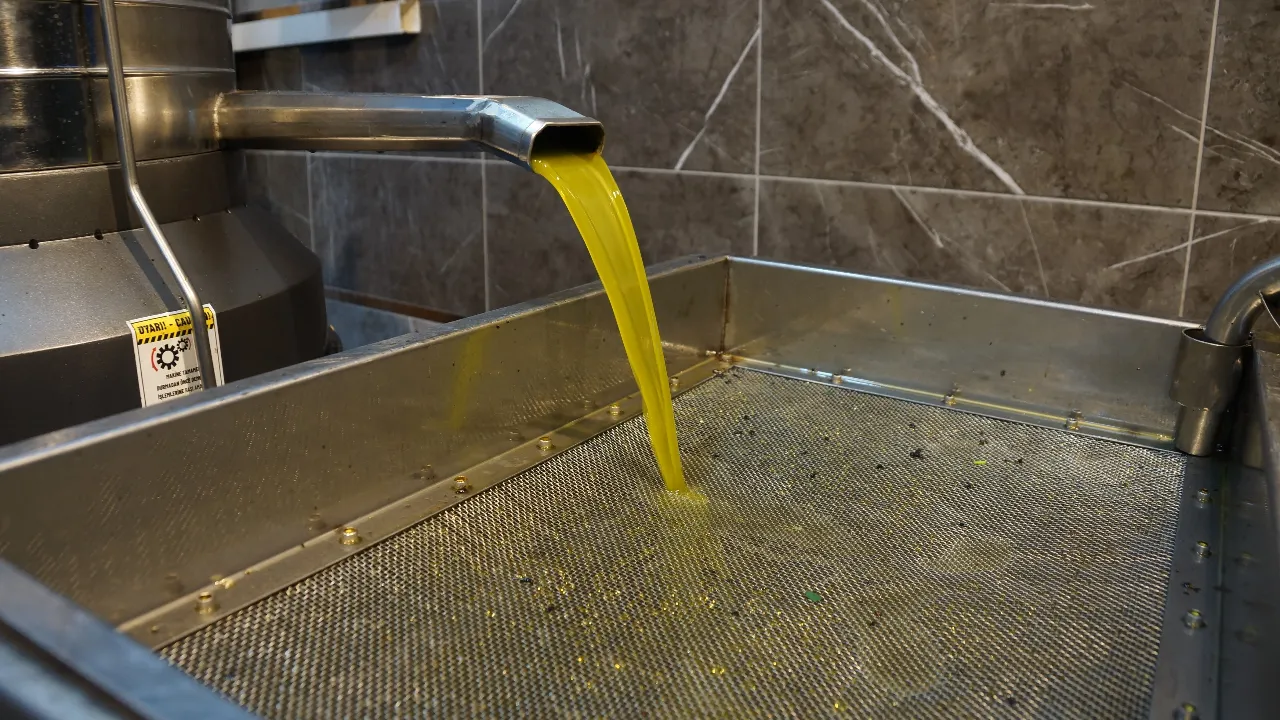 Rekolte düşüşü alım fiyatını arttırdı! Litresi 190 lira