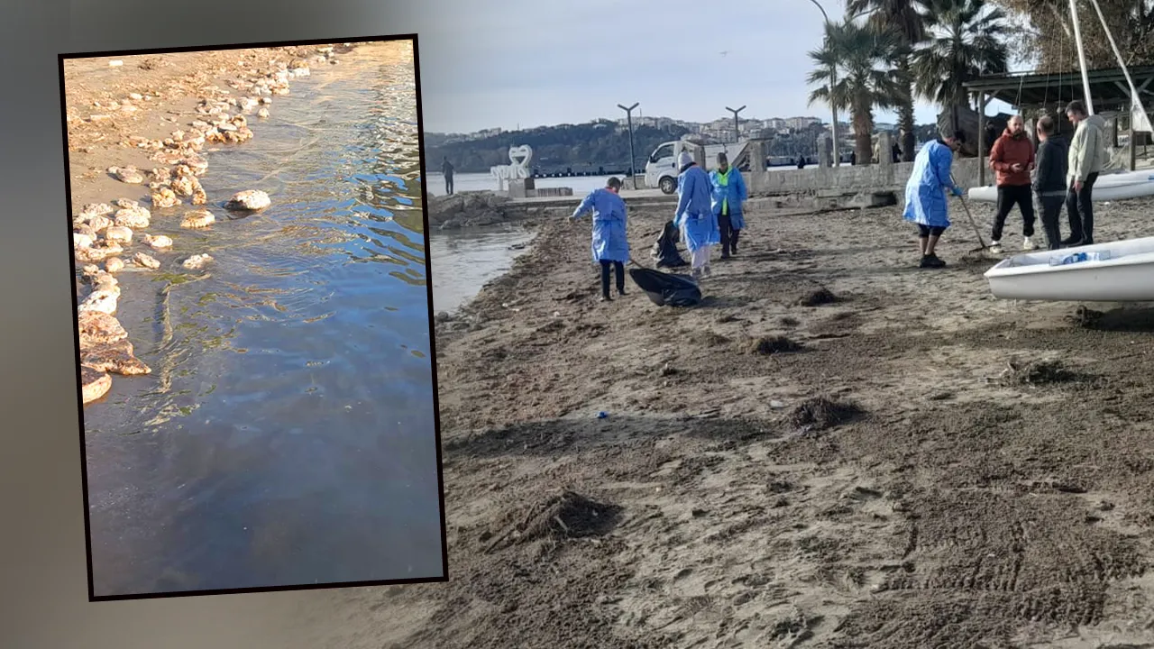 Sinop’ta korkutan kirlilik! Numune alındı, inceleme başlatıldı 