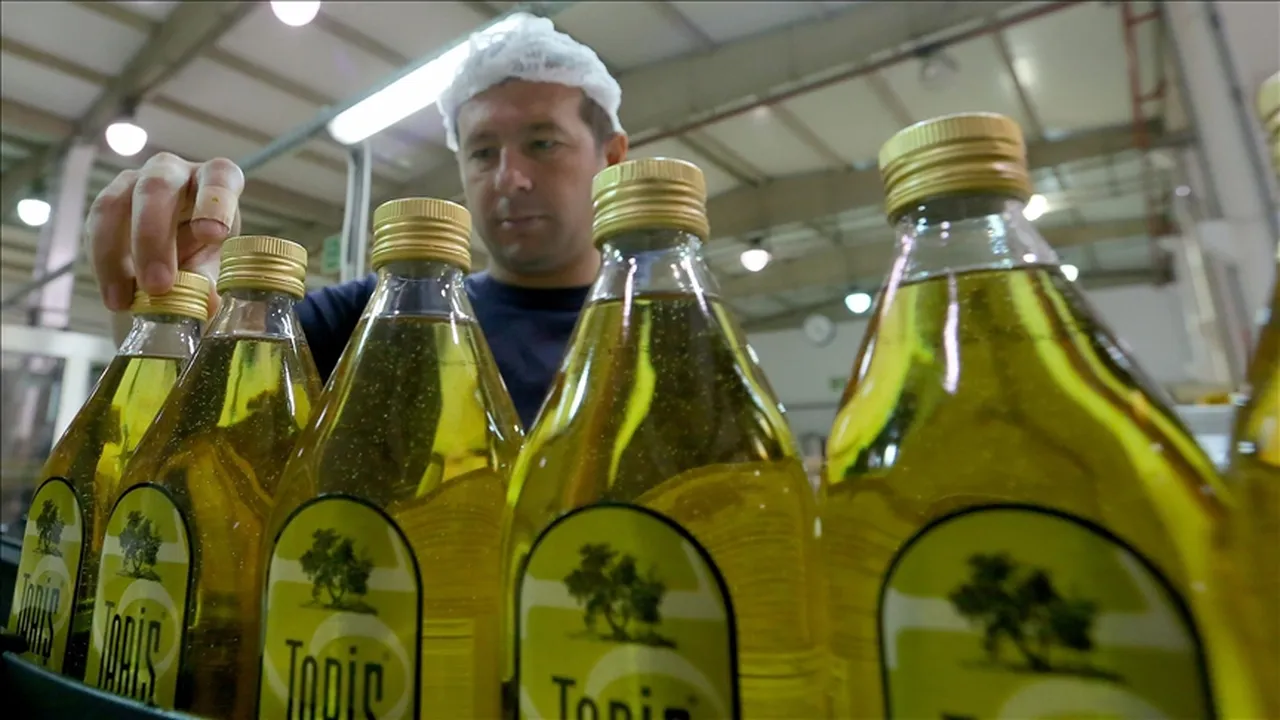 Tariş Zeytin ve Zeytinyağı Birliği açıkladı! 2026 zeytinyağı fiyatları ne kadar?