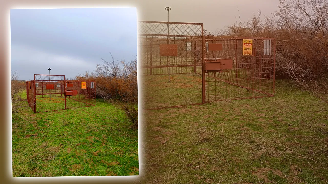 Batman’da tarım arazilerini domuzlardan korumak için yeni yöntem: Elektronik kafes