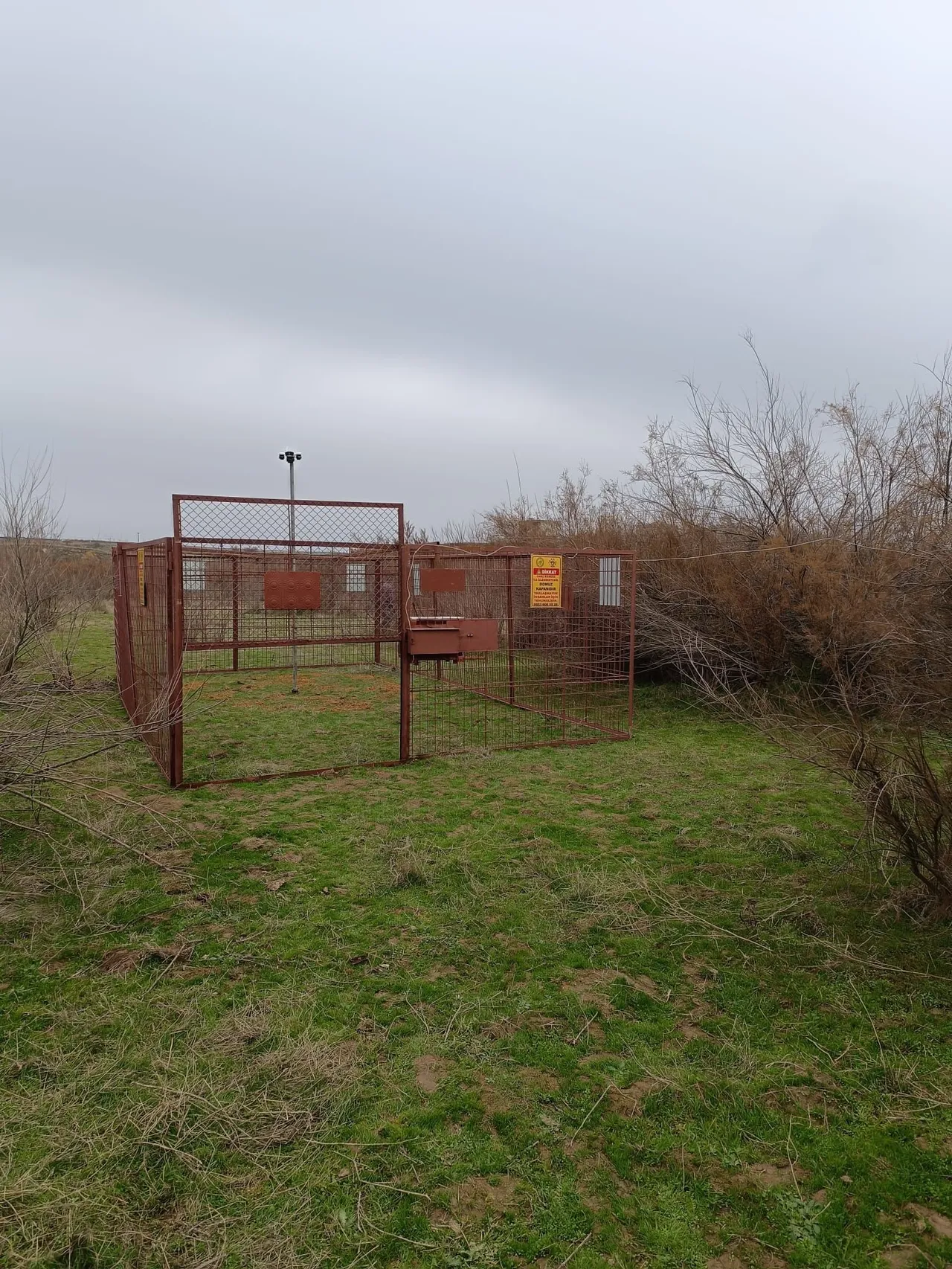 Batman’da tarım arazilerini domuzlardan korumak için yeni yöntem: Elektronik kafes