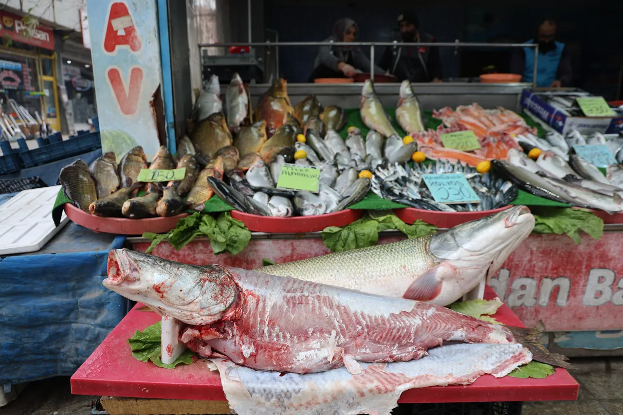 Havalar soğudu, tezgahta balık fiyatları düştü!