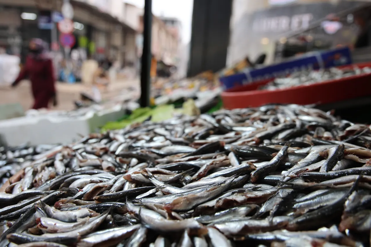 Havalar soğudu, tezgahta balık fiyatları düştü!