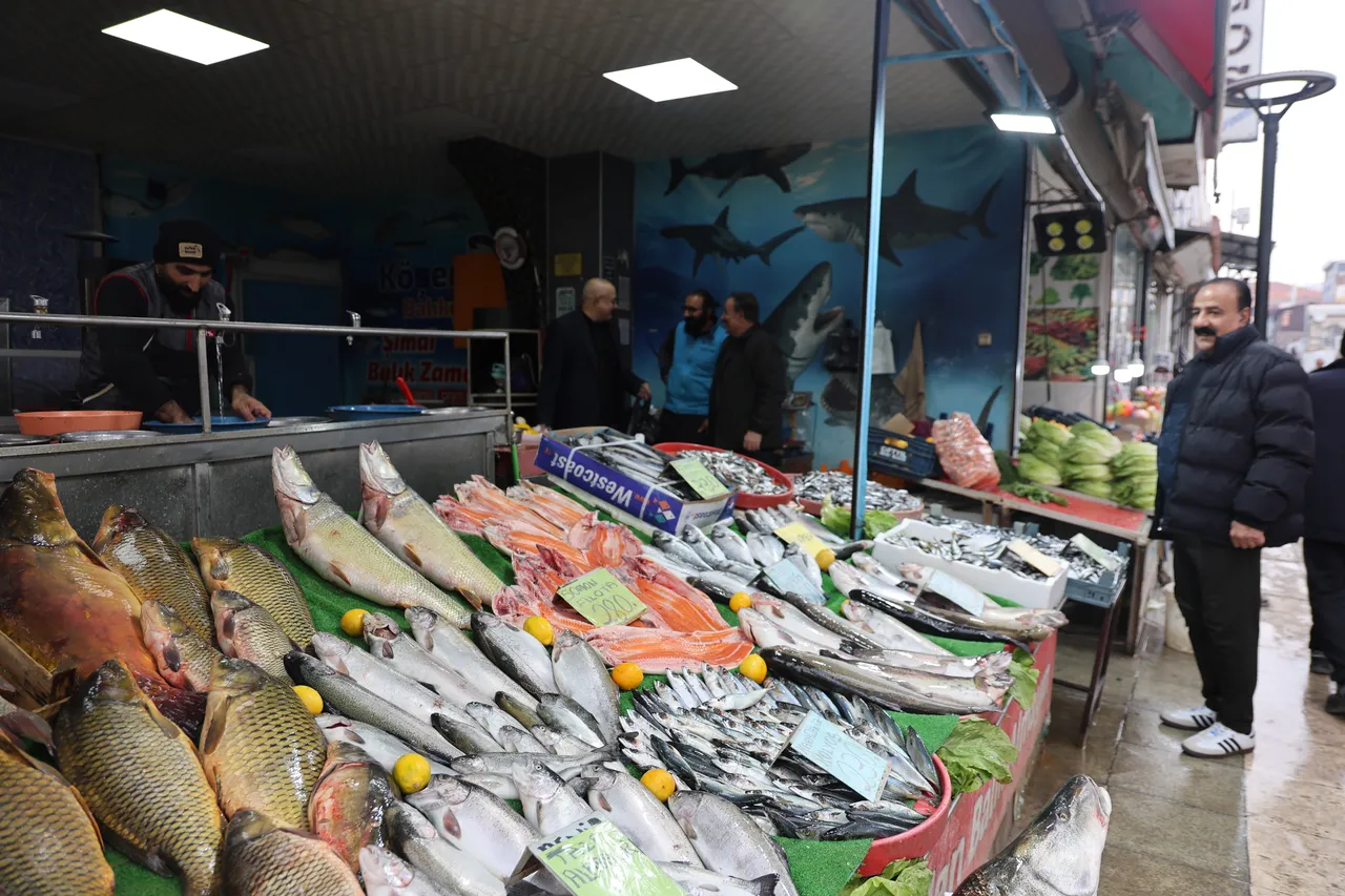 Havalar soğudu, tezgahta balık fiyatları düştü!