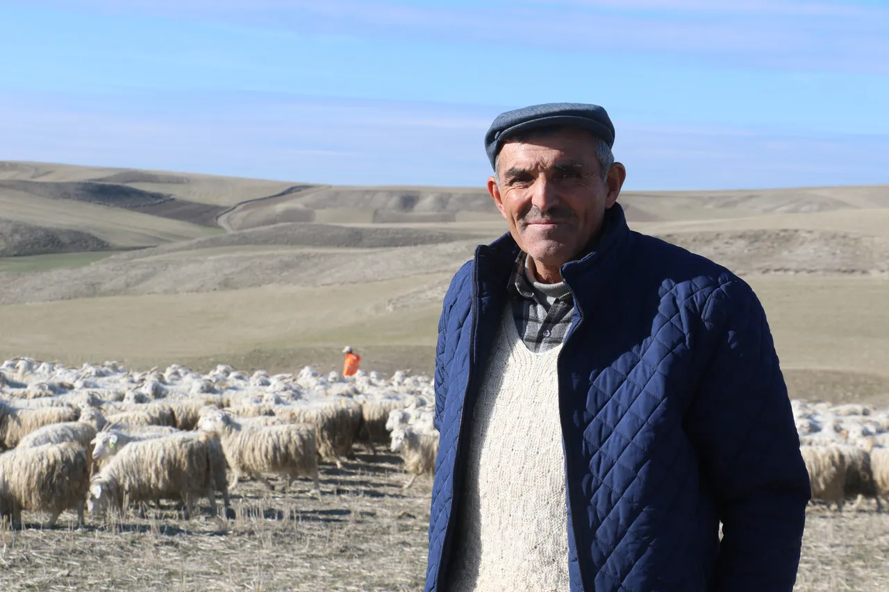 Osmanlının birinci yatırımı olan tiftik için yeni hedef!