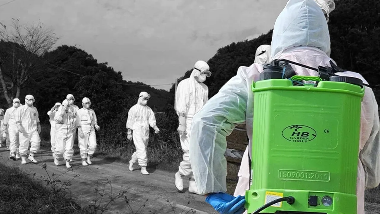 Şap kabusu İstanbul'un yanı başında! 37 mahalle karantinaya alındı