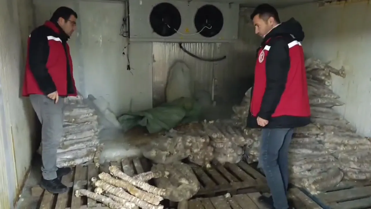 Vatandaşa yedirilmesine ramak kalmıştı!4 milyon liralık bozuk kokoreç imha edildi