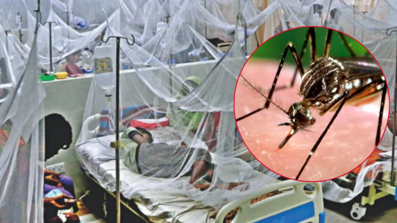 Virüs ülkeyi zombiye çevirdi! Küba’da çare bulunamadı, ölü sayısı artıyor