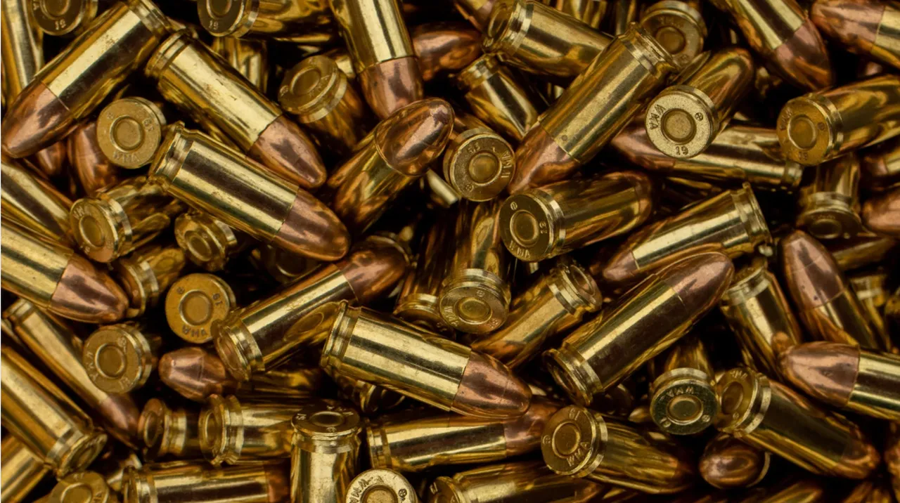 Almanyada güvenlik skandalı! Şoför başında durmadı, orduya ait binlerce mermi çalındı