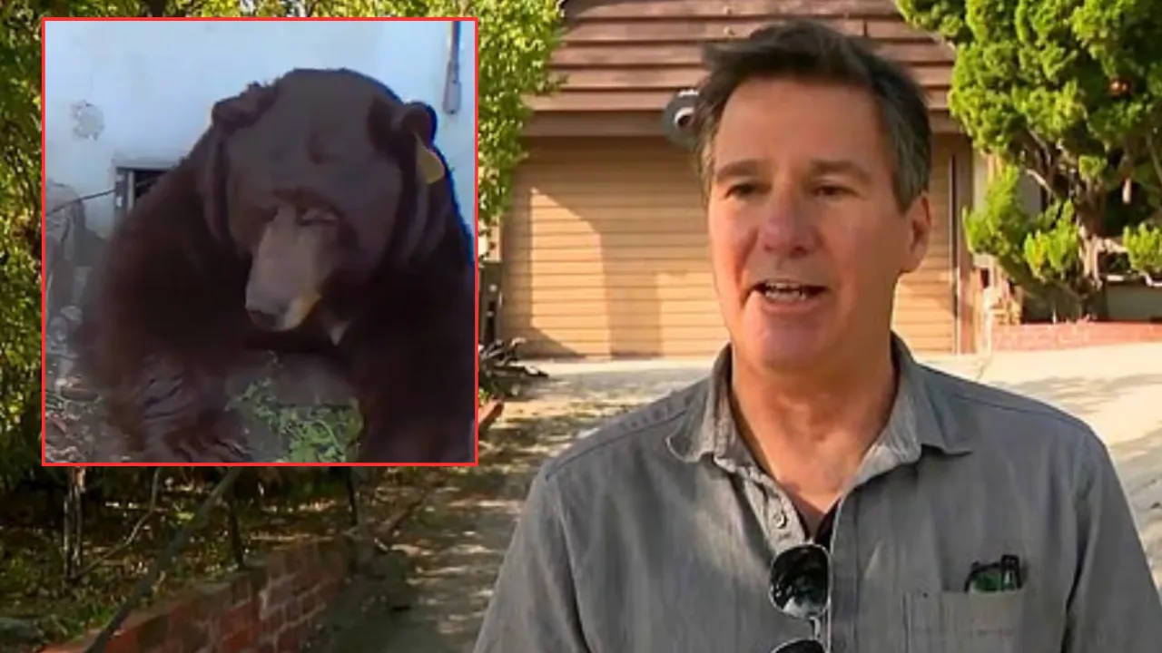 Bodrumdan çıktı, ev sahibi neye uğradığını şaşırdı! Aylardır orada yaşıyor, tam 200 kilo