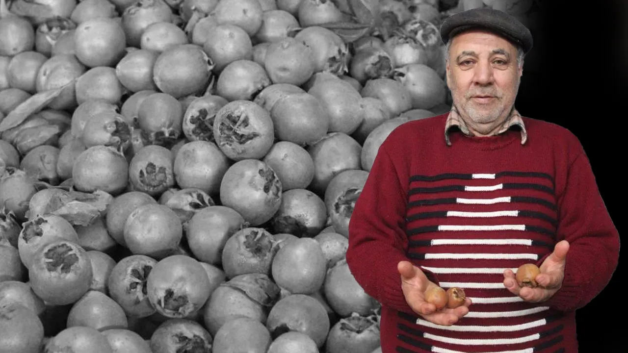 'Doğal çikolata' olarak da biliniyor! Tam bir şifa deposu: Kilosu 100 TL