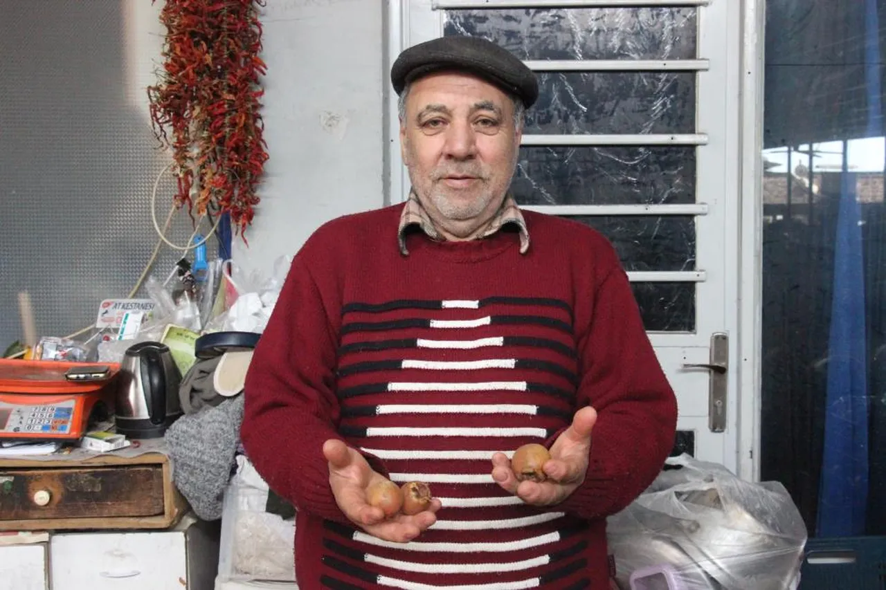 'Doğal çikolata' olarak da biliniyor! Tam bir şifa deposu: Kilosu 100 TL