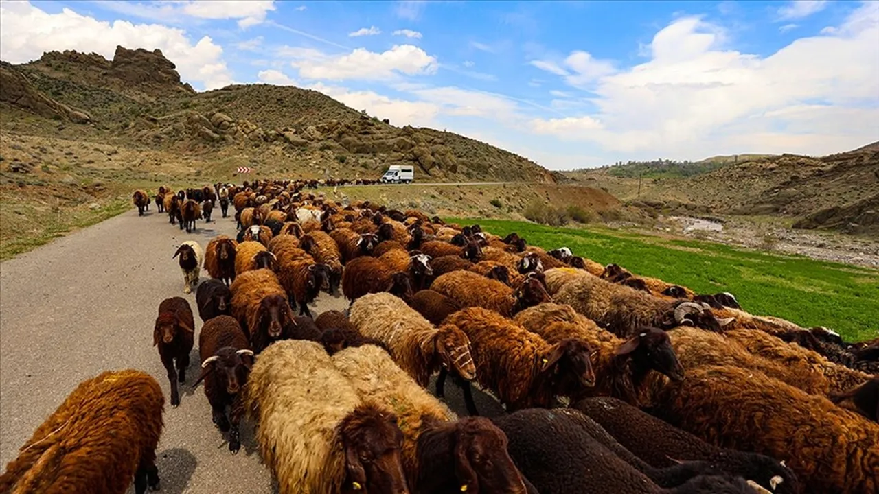 Havası en kirli il Iğdır oldu